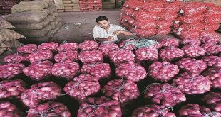 Loss onion farmer in Nashik due to lockdown, requesting help from government