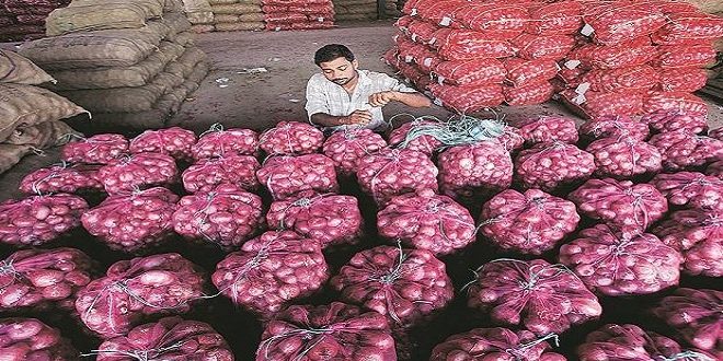 Loss onion farmer in Nashik due to lockdown, requesting help from government