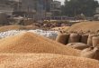 Government will sell 3 million tonnes of wheat in the open market to keep prices under control