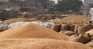 Government will sell 3 million tonnes of wheat in the open market to keep prices under control