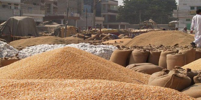 Government will sell 3 million tonnes of wheat in the open market to keep prices under control