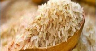 These Basmati rice exporters have already escaped from the country due to SBI complaint