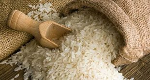 Export demand for basmati rice is good, prices will improve further