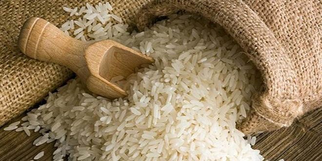 Export demand for basmati rice is good, prices will improve further
