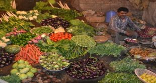 Production of horticultural crops estimated to increase by 3.13%, higher yield of fruits along with vegetables