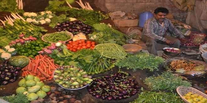 Production of horticultural crops estimated to increase by 3.13%, higher yield of fruits along with vegetables