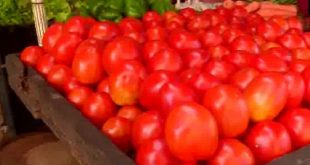 Tomato kills people suffering from inflation, now costs Rs 80 per kg