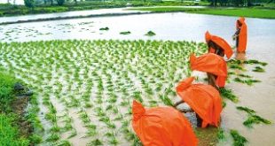 Less monsoon in northwest India