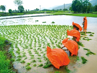 Less monsoon in northwest India