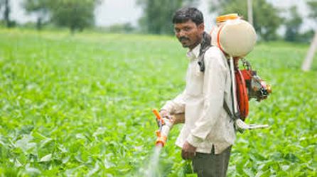 Expert advice needed for pesticide management bill