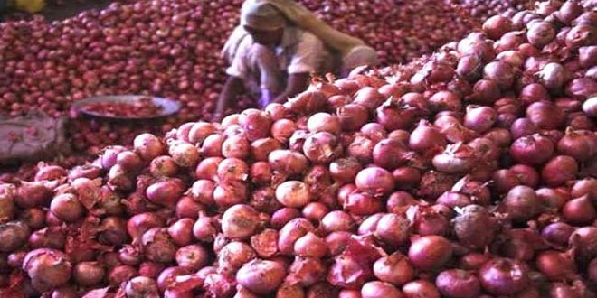 Sharad Pawar slams Center for import-export policy of onions