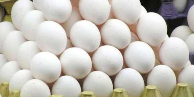 Flashed egg industry in winter, prices suddenly increased