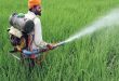 Farmers are getting happy due to fencing in the fields, Nandlal's path became easy after getting grant