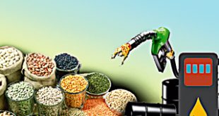 Retail inflation below 6 percent, IIP also increased