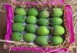The first consignment of Hapus mangoes reached Pune, you will be surprised to know the price