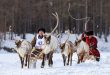 Representatives of 14 regions of the Arctic and Far East take part in the International Traditional Reindeer Herding Championship in Yakutia