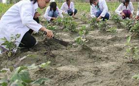 Agriculture faculty will start in 50 schools, creation of 50 new posts of agriculture lecturer