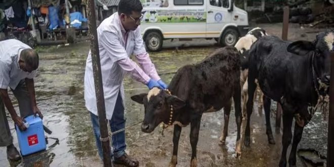 Various medical equipment will be installed in government veterinary hospitals, the Chief Minister approved Rs 4.80 crore