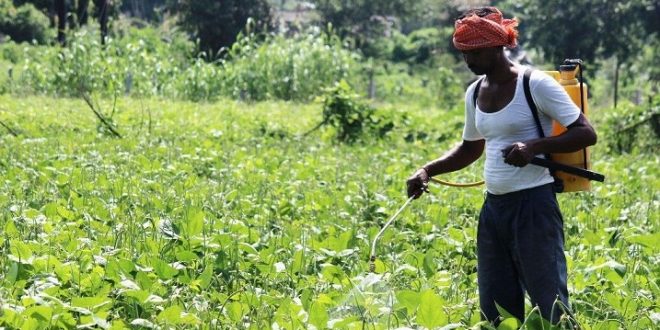 Grant up to 50 percent of the cost of plant protection chemicals to farmers for pest control - Agriculture Minister