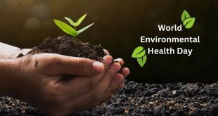 World Environmental Health Day: MoU to be signed between IITM, NTPC and RSPCB