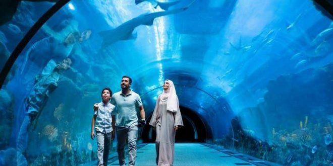 Escape the Sun: Top Indoor Adventures for Summer in Dubai