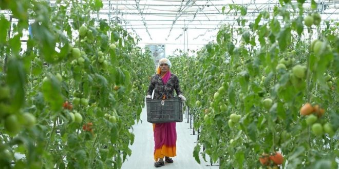 eeki growing footprint, plans to expand business abroad in Madhya Pradesh, Maharashtra and Tamil Nadu as well as Oman