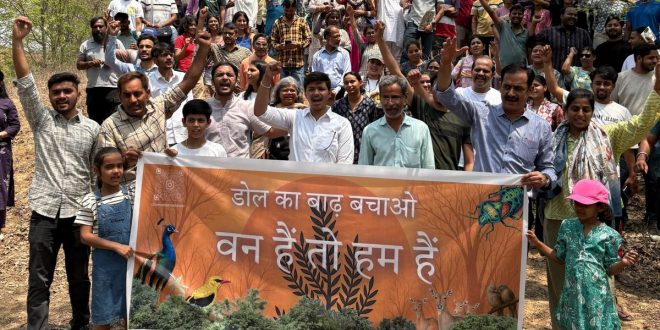 ये कैसा विकास... सांगानेर: डोल के बाढ पर सरकार का मनडोला