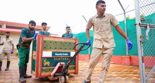 वंतारा एवं गुजरात वन विभाग द्वारा बन्नी ग्रासलैंड्स में 20 चीतलों का पुनःस्थापन