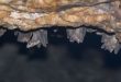 Scientists detect new Covid-like virus in bats in Brazil