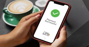 फेस्टिव सीजन में यूपीआई के जरिए खर्च बढ़कर 17.8 लाख करोड़ रुपए हुआ