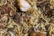 Startup founder orders vegetarian biryani and gets non-vegetarian biryani, lands Swiggy and Behrouz in trouble