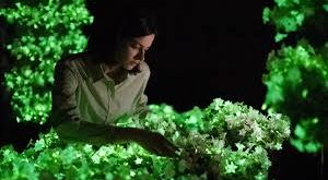 Seaweed से बनेगा भविष्य का ईंधन: भारत में हरित ऊर्जा क्रांति की नई शुरुआत