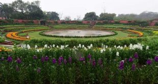 Amrit Udyan: आज से खुल गया राष्ट्रपति भवन का अमृत उद्यान, कितने का है टिकट और कहां से खरीदें? यहां जानें