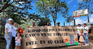 अनंत अंबानी ने कोलंबिया से 80 दरियाई घोड़ों की जान बचाने की अपील की; ‘वनतारा’ में आजीवन घर देने का रखा प्रस्ताव