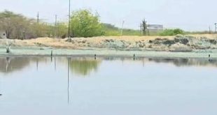 बालोतरा की कपड़ा इंडस्ट्री पर भारी पड़ी ‘सुप्रीम कोर्ट की सख्ती’, 800 से अधिक इकाइयां बंद; नदी सफाई का काम शुरू