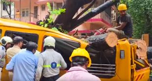 मुंबई : चेंबूर इलाके में स्कूल बस पर पेड़ गिरने से छात्र की मौत, चार बच्चे घायल