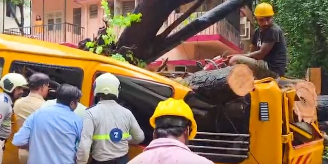 Mumbai: Student killed, four children injured as tree falls on school bus in Chembur area