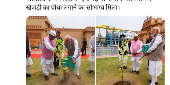Revealed: They ordered 'Khejri' and handed over 'Peepal'! The PMO is strict, and action can be taken against those who neglect it.