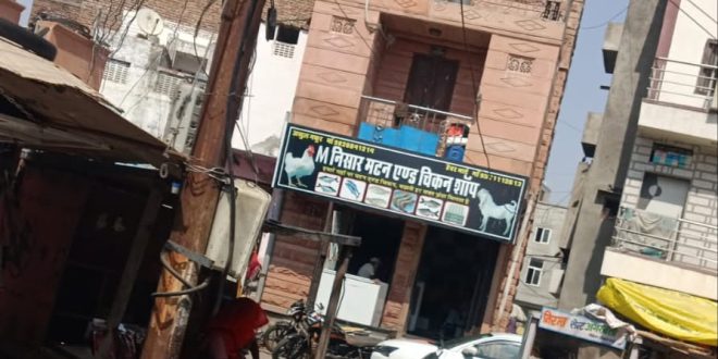 Municipal council orders ineffective, meat shops open in Balotra even during Navratri!