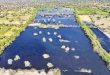 The Supreme Court has issued strong remarks against Rajasthan officials in the Jojri pollution case, expressing displeasure over inaccurate reports on the length and width of rivers.