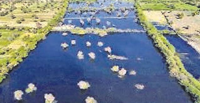 The Supreme Court has issued strong remarks against Rajasthan officials in the Jojri pollution case, expressing displeasure over inaccurate reports on the length and width of rivers.